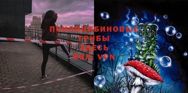не бодяженный Магас